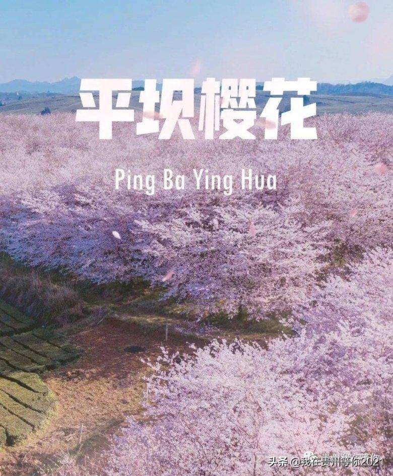 交出无愧于党和人民的江河安澜答卷——2023年水旱灾害防御工作综述