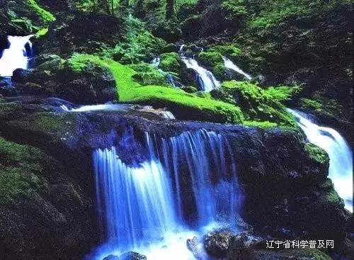 逃出白海豹洞